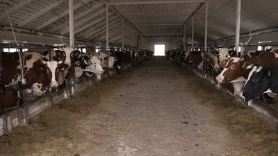 Росіяни атакували китайське підприємство, що працює понад 10 років у Корюківці: які наслідки влучань БпЛА Росіяни атакували китайське підприємство, що працює понад 10 років у Корюківці: які наслідки влучань БпЛА