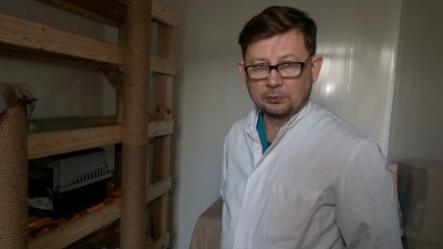 Ветлікарі головний лікар служби з питань утримання і поводження з тваринами Денис Колесніченко тварини Краматорськ Донецька область 5 лютого 2025 рік Ветлікарі головний лікар служби з питань утримання і поводження з тваринами Денис Колесніченко тварини Краматорськ Донецька область 5 лютого 2025 рік