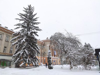 сніг, зима, кооперативний коледж, тернопіль сніг, зима, кооперативний коледж, тернопіль