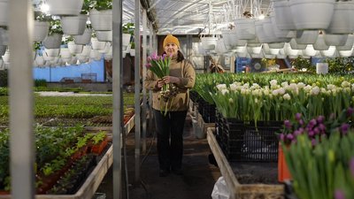 Генератор, сонячні панелі та опалення дровами: як вінничанин оберігає теплиці під час морозів Генератор, сонячні панелі та опалення дровами: як вінничанин оберігає теплиці під час морозів