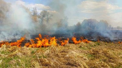 На Черкащині протягом доби згоріло понад 12 гектарів сухостою та сміття через кинуті недопалки На Черкащині протягом доби згоріло понад 12 гектарів сухостою та сміття через кинуті недопалки
