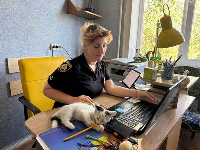 "Тремтів, як людина": яка доля кошеняти, врятованого слідчою з-під завалів після обстрілу Кривого Рогу "Тремтів, як людина": яка доля кошеняти, врятованого слідчою з-під завалів після обстрілу Кривого Рогу