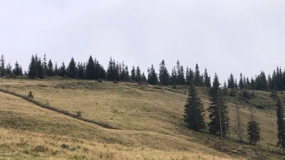 Джипінг, джипери, Карпати, гора Кукул, гори Джипінг, джипери, Карпати, гора Кукул, гори
