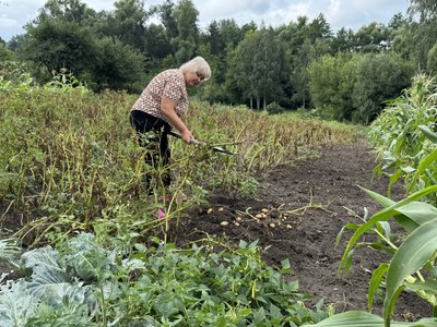 "Очі зімкну і згадую хату…": як живуть переселенці у Степанівській громаді та про що мріють "Очі зімкну і згадую хату…": як живуть переселенці у Степанівській громаді та про що мріють