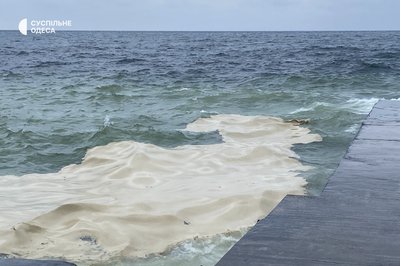 Рослинна олія в Чорному морі: що відбувається з екосистемою після масштабного розливу Рослинна олія в Чорному морі: що відбувається з екосистемою після масштабного розливу