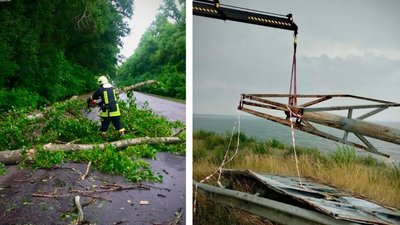 Повалені дерева та затоплені вулиці: наслідки негоди на Черкащині Повалені дерева та затоплені вулиці: наслідки негоди на Черкащині
