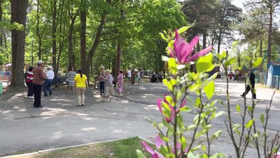 Люди танцювали у парку під відкритим небом