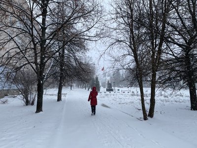 "Ідеш, а снігу по коліна". Як справляються з прибиранням снігу в Охтирці "Ідеш, а снігу по коліна". Як справляються з прибиранням снігу в Охтирці