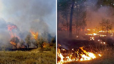 "Підійти до вогню було нереально". На Кіровоградщині внаслідок обстрілу горіло майже 110 з половиною гектарів лісу "Підійти до вогню було нереально". На Кіровоградщині внаслідок обстрілу горіло майже 110 з половиною гектарів лісу