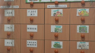 "Все, що маємо, тим і ділимося": як у селі на Вінниччині працює "Бібліотека насіння" "Все, що маємо, тим і ділимося": як у селі на Вінниччині працює "Бібліотека насіння"