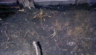 Наслідки обстрілів Донеччини 19 січня. Фото: сайт поліції Донеччини