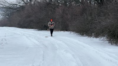 Контроль за популяцією хижаків та захист від сказу: як на Полтавщині регулюють чисельність лисиць Контроль за популяцією хижаків та захист від сказу: як на Полтавщині регулюють чисельність лисиць