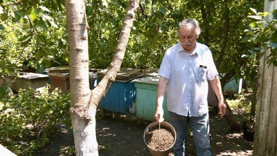 Володимир Кізь, пасічник, загинули бджоли на Тернопільщині, 17 липня 2026 року Володимир Кізь, пасічник, загинули бджоли на Тернопільщині, 17 липня 2026 року