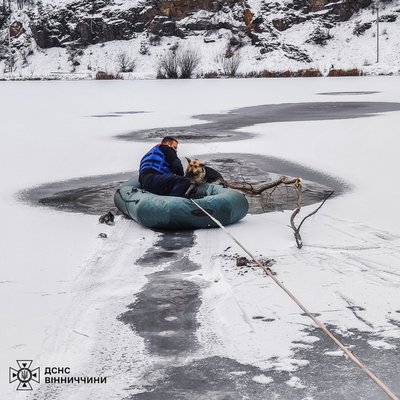 У Вінниця врятували собаку, яка провалилась під лід У Вінниця врятували собаку, яка провалилась під лід