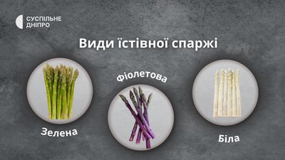 На Дніпропетровщині вирощують натуральний афродизіак: підприємець розказав, скільки тонн спаржі збирають щосезону На Дніпропетровщині вирощують натуральний афродизіак: підприємець розказав, скільки тонн спаржі збирають щосезону