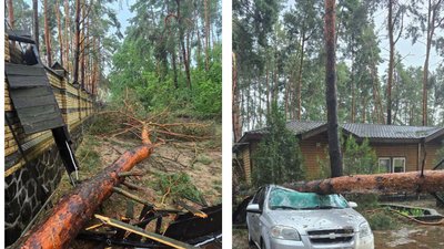 Повалені дерева та затоплені вулиці: наслідки негоди на Черкащині Повалені дерева та затоплені вулиці: наслідки негоди на Черкащині