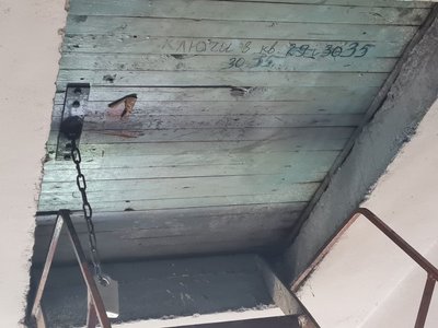 Підлітки на даху: хто відповідає за безпеку на житомирських багатоповерхівках Підлітки на даху: хто відповідає за безпеку на житомирських багатоповерхівках