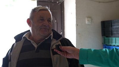Заробіток на каштанах: скільки платять за них на Сумщині Заробіток на каштанах: скільки платять за них на Сумщині