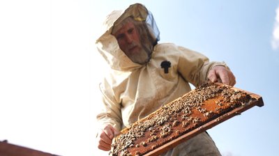 "Сепаратюга, слуга Путіна": священник із Криму розвиває пасіку на Черкащині та допомагає військовим "Сепаратюга, слуга Путіна": священник із Криму розвиває пасіку на Черкащині та допомагає військовим