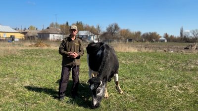 На Чернігівщині чоловік тримає корову, якій майже 30 років На Чернігівщині чоловік тримає корову, якій майже 30 років