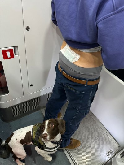 На Львівщині прикордонники виявили у пасажира потяга згорток з наркотиками На Львівщині прикордонники виявили у пасажира потяга згорток з наркотиками
