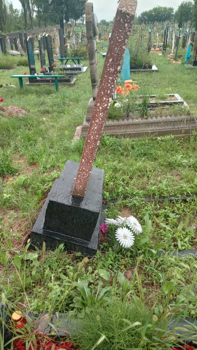 Негода у Житомирській області: рятувальники ліквідовують наслідки