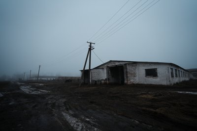 "Увімкнули генератор і доїмо": як працює молочнотоварна ферма у селі Хустянка на Сумщині