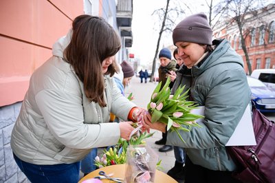 У Полтаві продаватимуть тюльпани, щоб зібрати кошти для військових
