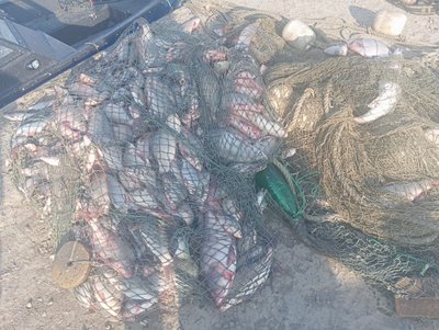 На Одещині прикордонники затримали браконьєрів з уловом на півтора мільйона гривень На Одещині прикордонники затримали браконьєрів з уловом на півтора мільйона гривень