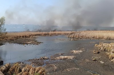 Пожежа, горить очерет та суха трава, пожежа, Тернопільщина