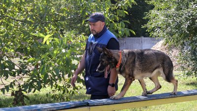 Лабрадор Норіс та вівчарка Фріда з Вінниччини здобули перемоги на змаганнях кінологічних підрозділів ДСНС