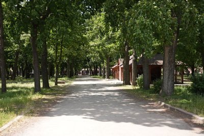 Європейський день парків. Які є в Кропивницькому і як там можна відпочити