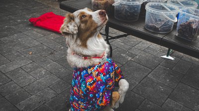 події події