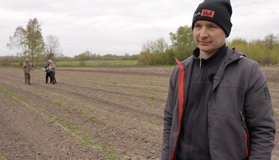 Спаржа померзла: фермери на Черкащині підраховують збитки