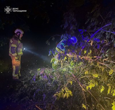 На Черкащині через негоду повалило дерева На Черкащині через негоду повалило дерева