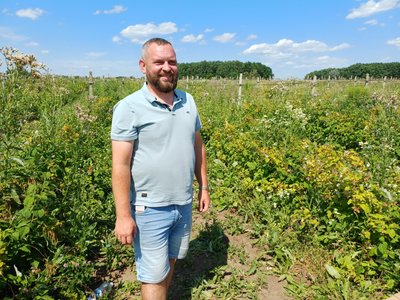 Як фермер Денис Баляшкін із Полтавщини вирощує різни сорти малини та лохини Як фермер Денис Баляшкін із Полтавщини вирощує різни сорти малини та лохини