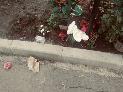 У Хоролі вчинили акт вандалізму на Алеї Героїв – поліція встановила зловмисника У Хоролі вчинили акт вандалізму на Алеї Героїв – поліція встановила зловмисника