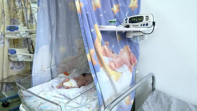На Вінниччині народились трійнята та двійнята: історії породіль і медиків На Вінниччині народились трійнята та двійнята: історії породіль і медиків