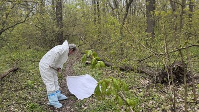 як збирають кліщів як збирають кліщів