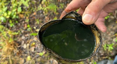 ропа, нафта, масло, мастило, мазут