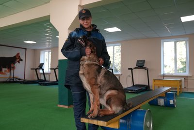 "Для нас — робота, для них — гра": як на Сумщині готують собак-рятувальників для пошуку людей під завалами "Для нас — робота, для них — гра": як на Сумщині готують собак-рятувальників для пошуку людей під завалами