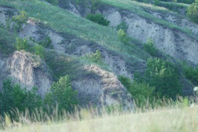 «Порівнюють з Новою Зеландією». Що відомо про балку Сажівку поблизу Дніпра «Порівнюють з Новою Зеландією». Що відомо про балку Сажівку поблизу Дніпра