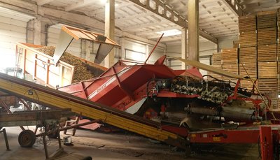 Урожай картоплі є, але зберігати дорого: черкаські фермери рахують витрати
