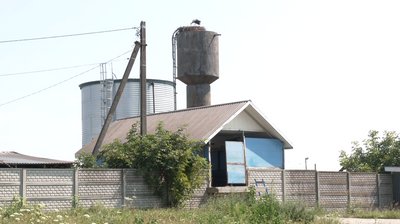 «Взагалі неможливо дихнути»: на Львівщині жителі села вже чотири роки судяться через розміщення свиноферми «Взагалі неможливо дихнути»: на Львівщині жителі села вже чотири роки судяться через розміщення свиноферми