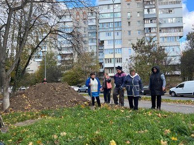 "Повирізали, то треба понасаджувати": у Вінниці триває озеленення міста "Повирізали, то треба понасаджувати": у Вінниці триває озеленення міста