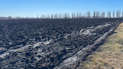 Здорожчання дизеля: що очікують від посівної аграрії Полтавщини Здорожчання дизеля: що очікують від посівної аграрії Полтавщини