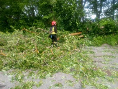 На Житомирщині рятувальники прибрали повалені дерева з доріг після негоди На Житомирщині рятувальники прибрали повалені дерева з доріг після негоди