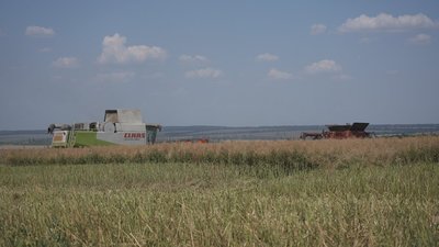 Розпочали на два тижні раніше: на Вінниччині триває збір ріпаку Розпочали на два тижні раніше: на Вінниччині триває збір ріпаку