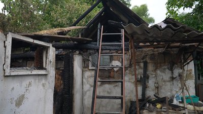 біопілля17 біопілля17