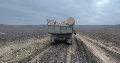 Намагався привласнити деревину на 400 тисяч грн: на Хмельниччині судитимуть лісничого Намагався привласнити деревину на 400 тисяч грн: на Хмельниччині судитимуть лісничого